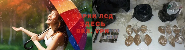 jwh Дмитровск