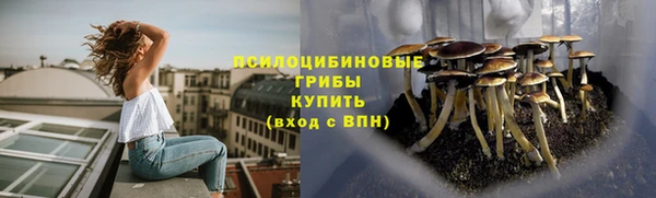 PSILOCYBIN Гусев