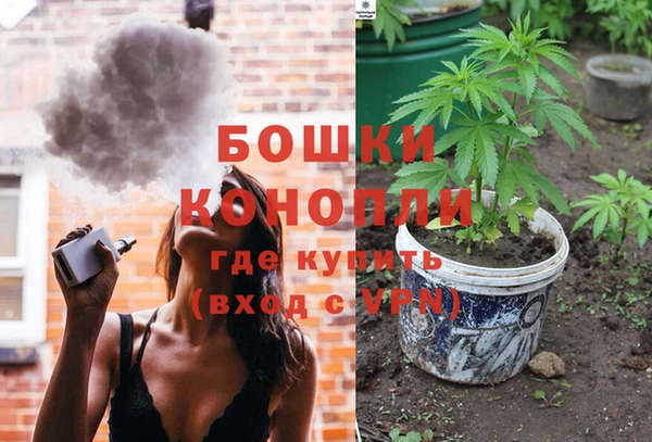PSILOCYBIN Гусев