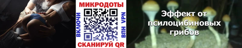 Купить  Бежецк  Псилоцибиновые грибы ЛСД 